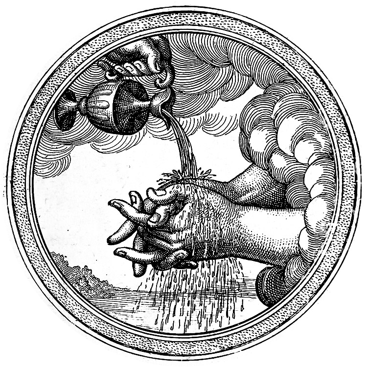 Vernacular Systems logo